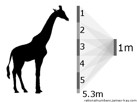 giraffe